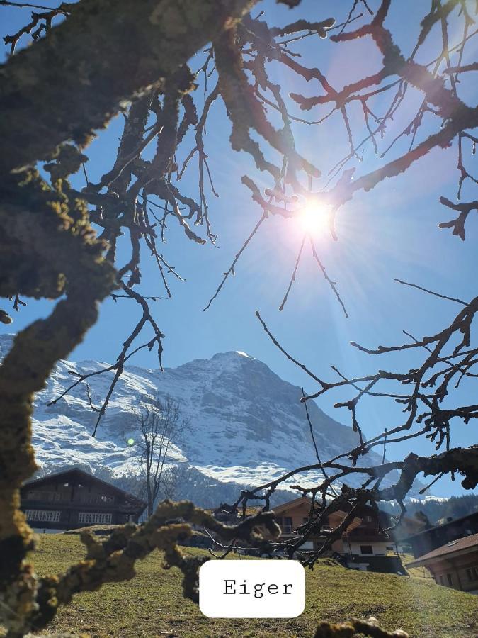 Apartment Lilalama Grindelwald Exterior foto