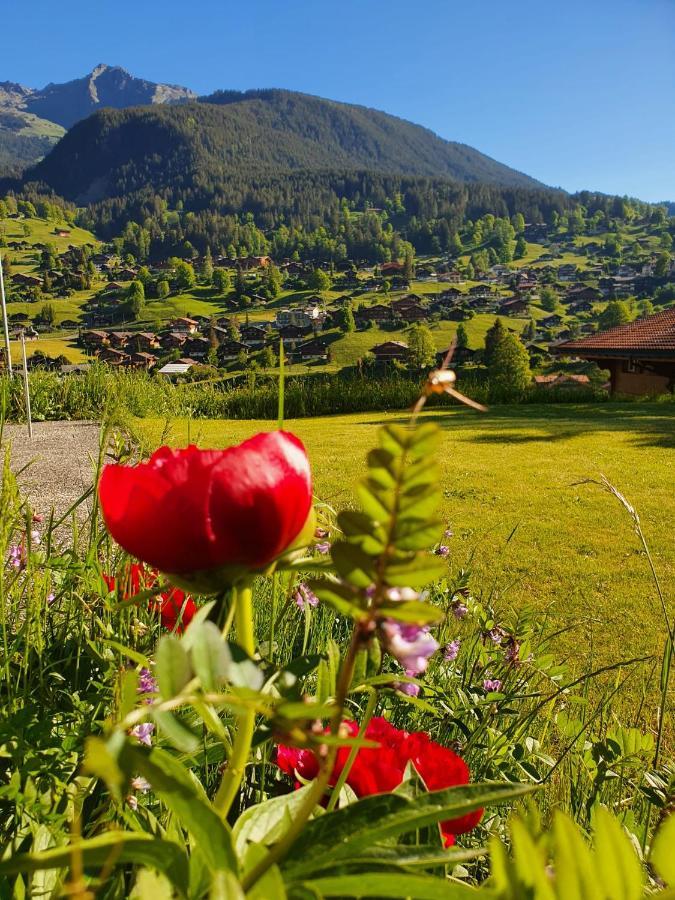 Apartment Lilalama Grindelwald Exterior foto